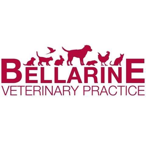 Photo: Bellarine Veterinary Practice